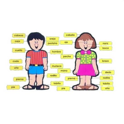 cabeza hombro pierna y pie cancion infantil cabeza hombro pierna y pie cancion infantil